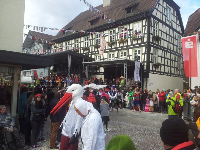 Narrentreffen_Hausach_2014_066